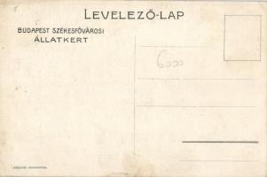 Fővárosi állatkert, télisport, reklám / Budapest Zoo, winter sports, advertisement