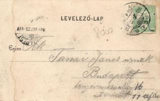 Mohácsi-sziget, halásztanya; Weiser Miksa kiadása (fl)