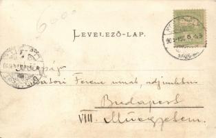 Balaton nádverés (fl)