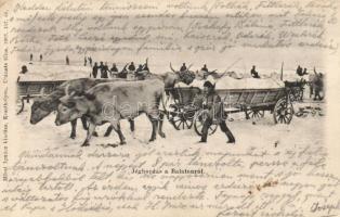 Balaton jéghordás (fl)