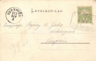 Balaton jéghordás (fl)