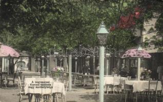 Nagymaros, Korona szálloda nagy kerthelyisége (EK)