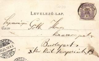 Máriabesnyő, Divald Károly