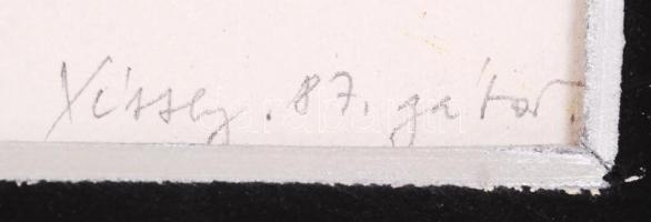 Véssey Gábor (1948-): Asszony makákóval. Vegyes technika, papír, jelzett, keretben, 37×47 cm