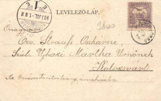 Kolozsvár, Tanítóképző intézet, park / teacher training institute, park