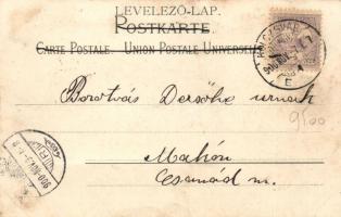 Kolozsvár, Vashíd, paloták; Gibbon Albert kiadása / iron bridge, palaces; photo on floral litho post...