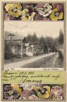 Brassó, Noa; Weg zur Tanenau; Art Nouveau floral litho