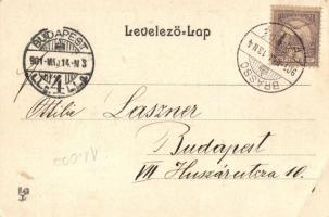 Brassó, Noa; Weg zur Tanenau; Art Nouveau floral litho