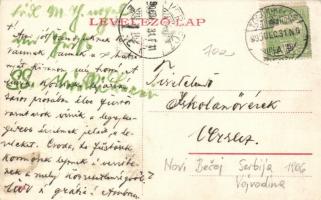 Törökbecse, Újbecse; Tisza-part, komp / ferry