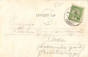 Buziásfürdő, Nosek Gusztáv kereskedése, Szent Antal csodakút és tó / shop, fountain, lake (EK)