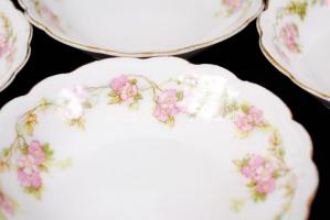 9 db porcelán kínálótálka M-Z-Austria címeres márkajelzéssel, d: 11 cm