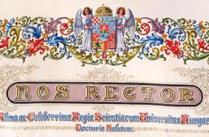 1918 Kövér Kálmán Med. Univ. Doctor 50 éves aranydiplomája latin nyelven, Morzsányi József díszműves...