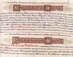 1918 Kövér Kálmán Med. Univ. Doctor 50 éves aranydiplomája latin nyelven, Morzsányi József díszműves...