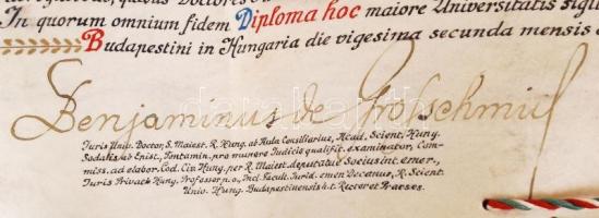 1918 Kövér Kálmán Med. Univ. Doctor 50 éves aranydiplomája latin nyelven, Morzsányi József díszműves...