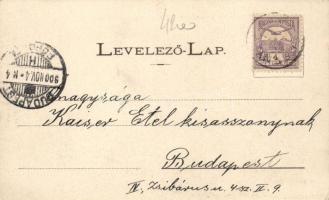 Petrozsény-Aninósza sodronykötél pálya, Joanovits és Sternád kiadása / hanging cabins (EK)