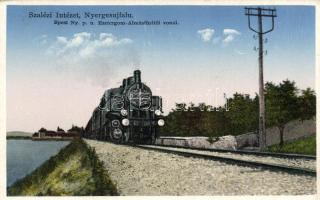 Nyergesújfalu, Szalézi Intézet, vonat