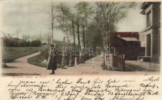 1899 Liepaja, Libau; Birken Allée / alley (EB)