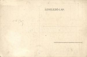 Dunaharaszti Rákóczi liget, Hollós villa (fl)