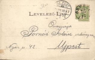 Őrmező Széchenyi kastély; Fried Ignác üzlete / castle (fl)