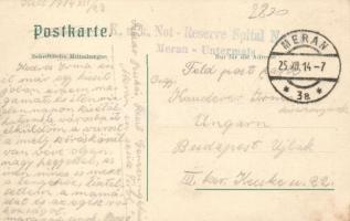 Merano, Meran, Obermais; floral, folklore