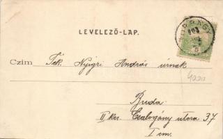 Torbágy, Biatorbágy; Steer Mátyás Napvölgy vendéglője, Iharos villa telep