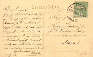 Lugos zárda, özv. Fischer Mihályné cselédszerző intézete / cloister, maid agency