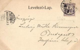 Temesvár, Gyárváros, Kossuth Lajos tér / square, market, church (EK)