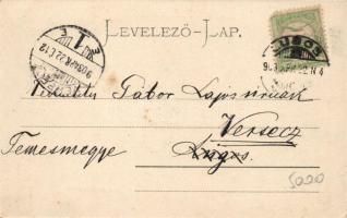 Lugos, Deák Ferenc utca, Epstein Sándor üzlete, Kézműárú raktár a "Kék Csillaghoz" / stree...