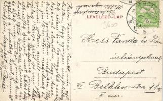 Balatonszárszó Hollós nyaraló