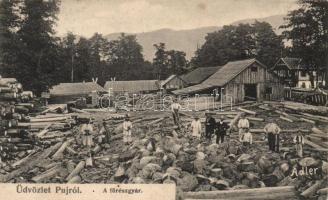 Puj, Fűrészgyár / saw factory