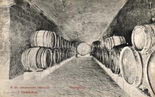 Budafok M. kir. pinczemesteri tanfolyam