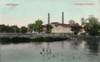 Mezőhegyes cukorgyár, tó; Knappe János kiadása