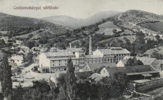 Csiklóbánya, Csiklovabánya; sörfőzde / brewery (EK)