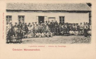 Máramaros, a gőzfűrész munkásai / workers