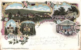 1899 Savanyúkút, Sauerbrunn; Hotel Mayor, garden, dining room, chapel, Villa Hartig, floral, litho (fa)