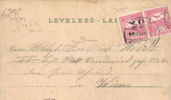 Kismarton, Eisenstadt;  Esterházy castle, church, Main square, floral, litho