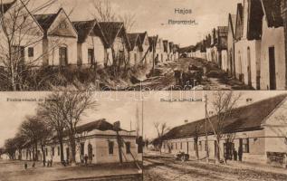 Hajós Hangya szövetkezet, Fő utca a postával, pince