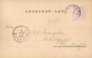 1898 Rohonc, Rechnitz; castle, Main square, Faludi valley, tower, floral, litho (fa)