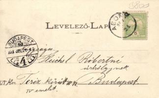 Abony huszár laktanya, Gulner kastély, Kossuth tér, floral