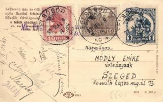 Felsőgöd Kertváros telep, vasútállomás (EB)