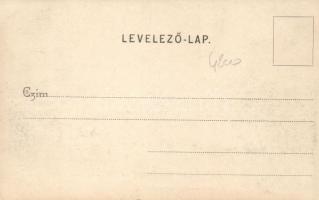 Csongrád árvíz; Szilber János kiadása