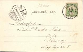 Tarcsafürdő, Sóshegy, Sulzriegel; restaurant, floral