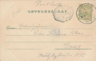 Nagymarton, Mattersburg; Sparkasse und Schule, Viaduct, litho, floral (wet damage)