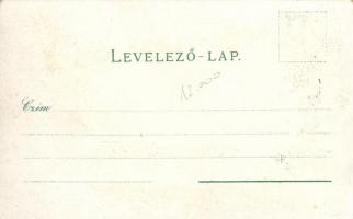 Városszalónak, Stadtschlaining; church, castle, main square, shop of Samuel Friedrich, floral, litho