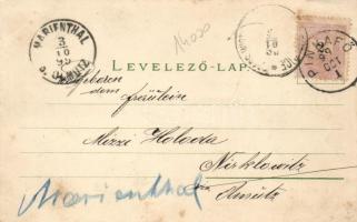 1899 Pinkafő, Pinkafeld; Hotel Lehner, castle, school, floral, litho (EK)