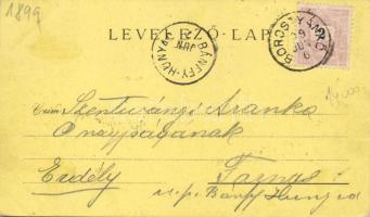 1899 Borostyánkő, Bernstein; castle, floral, litho (EK)