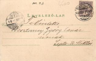 Kismarton, Eisenstadt; Felső-Kismartonhegy, Esterházy utca, Anton Pinter kiadása / Esterházygasse