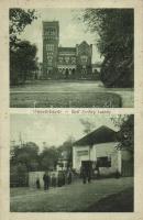 Vasvörösvár, Rotenturm an der Pinka; Erdődy kastély, Wágner Ferenc vegyeskereskedése; castle, shop