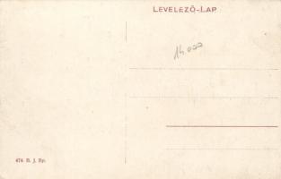 Karánsebes a jövőben / in the future