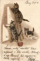1899 Playful cats litho